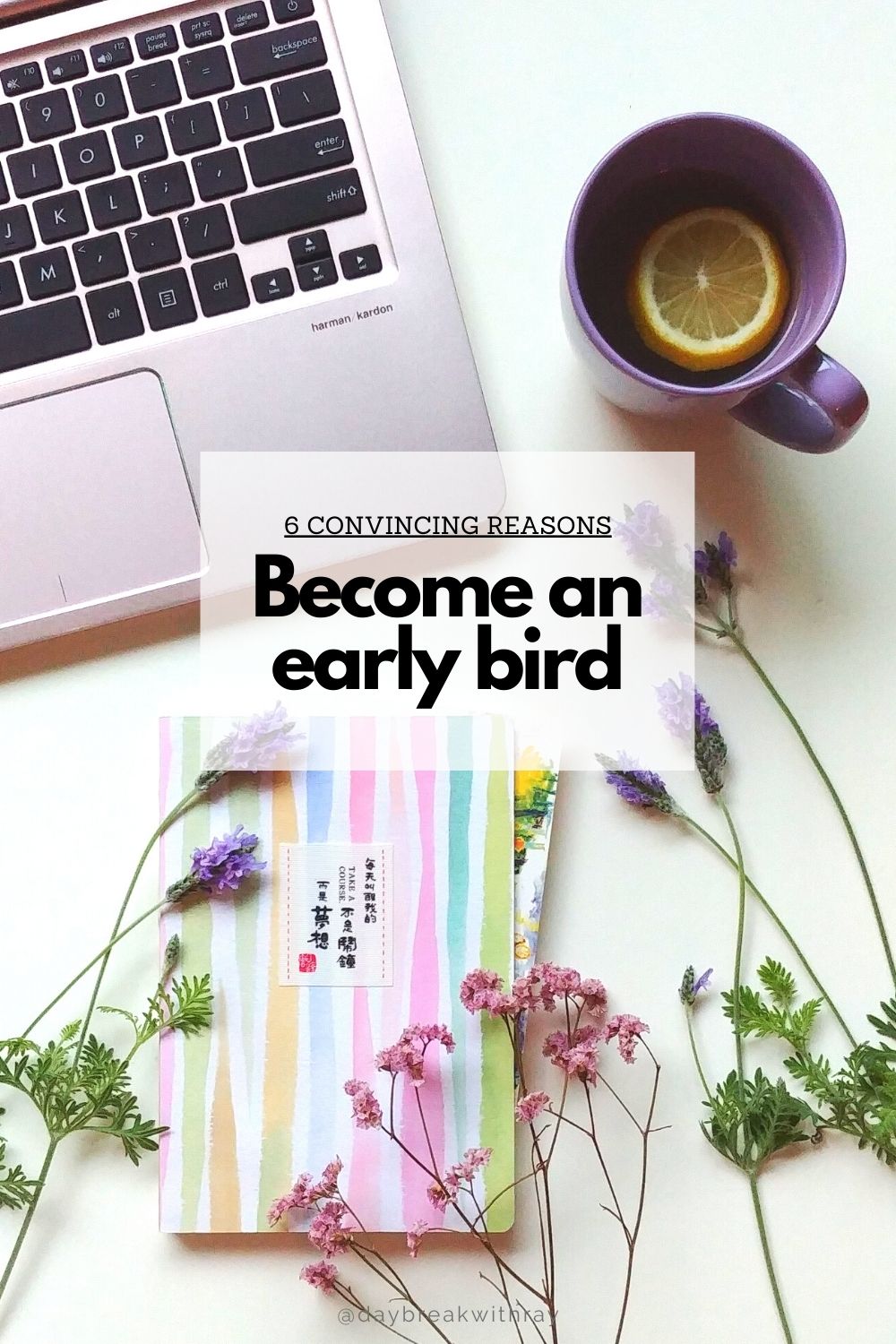 6 Convincing Reasons to Become an Early Bird