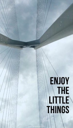 Enjoy the little things