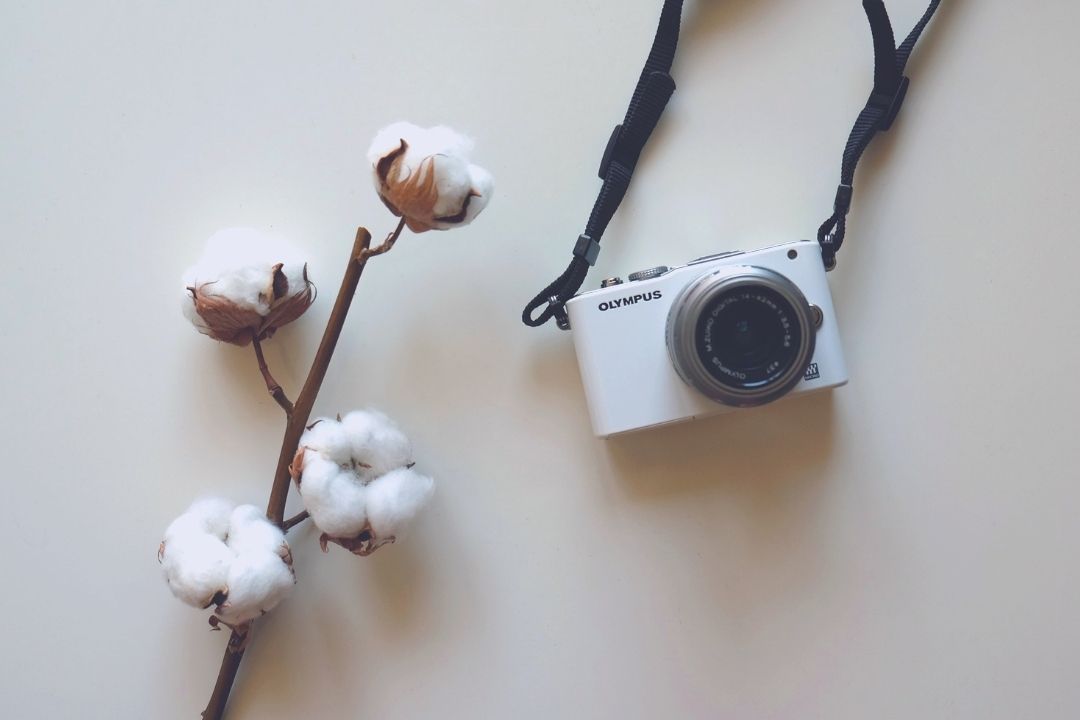(Blog List) 30-Day Photography Challenge