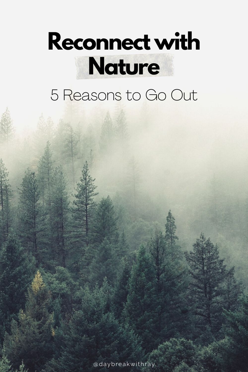 Nature: How connecting with nature benefits our mental health