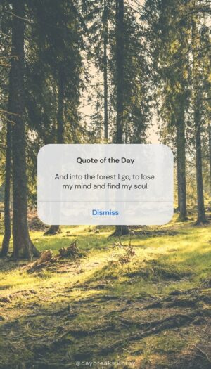 Nature Quotes - And into the forest I go, to lose my mind and find my soul.