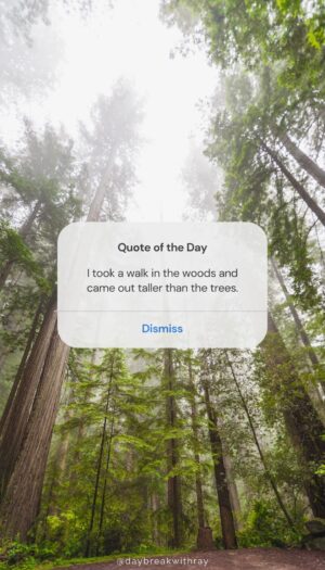 Nature Quotes - I took a walk in the woods and came out taller than the trees.