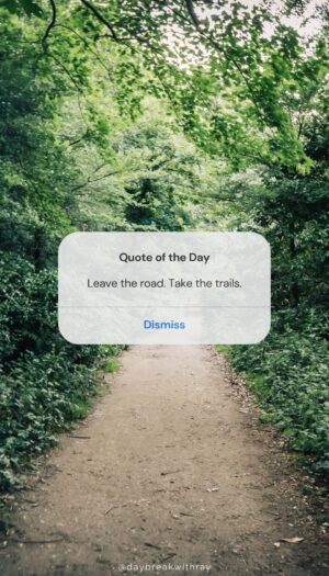 Nature Quotes - Leave the road. Take the trails.