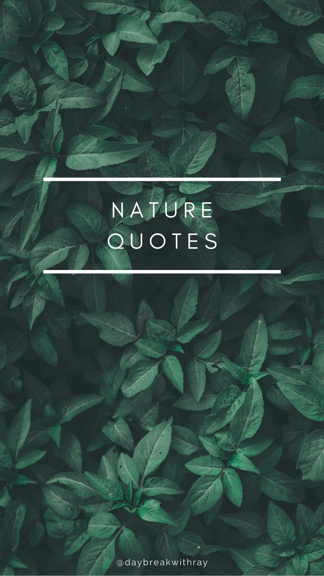 Nature Quotes Collection Cover