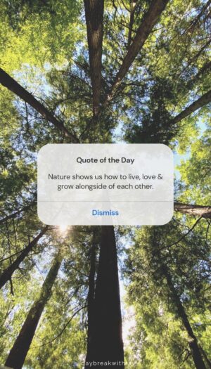 Nature Quotes - Nature shows us how to live, love & grow alongside of each other.