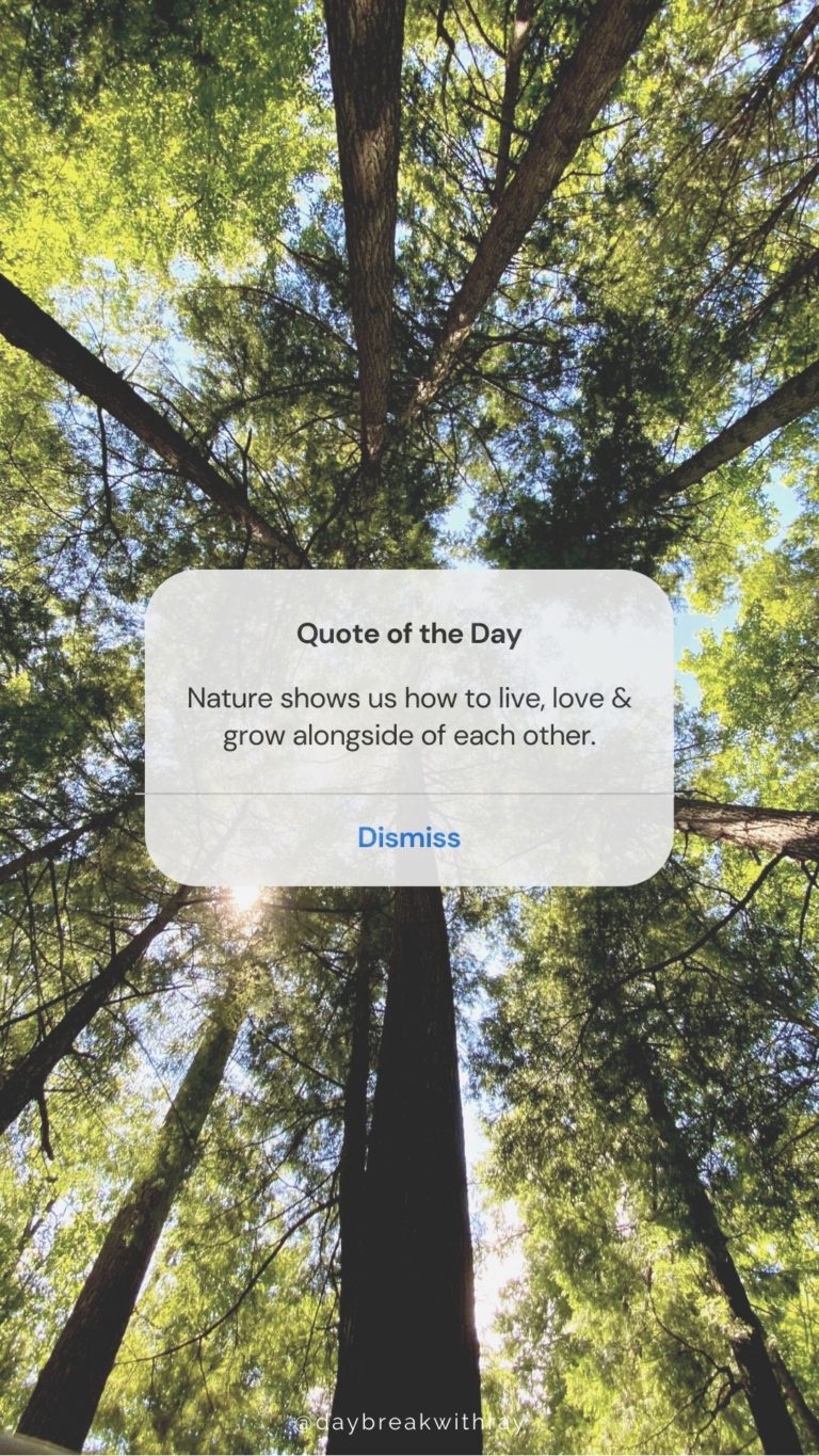 Nature Quotes - Nature shows us how to live, love & grow alongside of each other.
