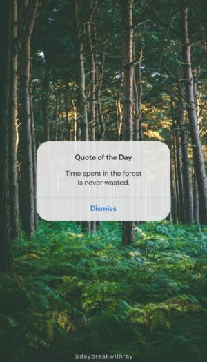 Nature Quotes - Time spent in the forest is never wasted.